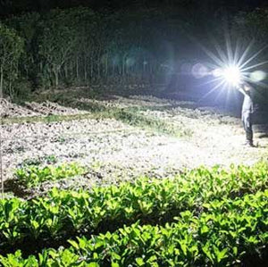 High Power Led Flashlight