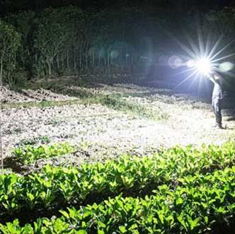 High Power Led Flashlight